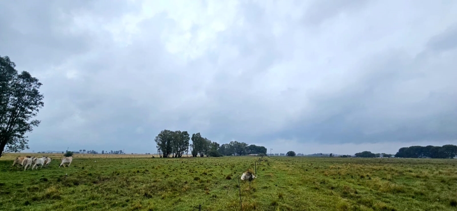 Commercial Property for Sale in Bloemfontein Rural Free State